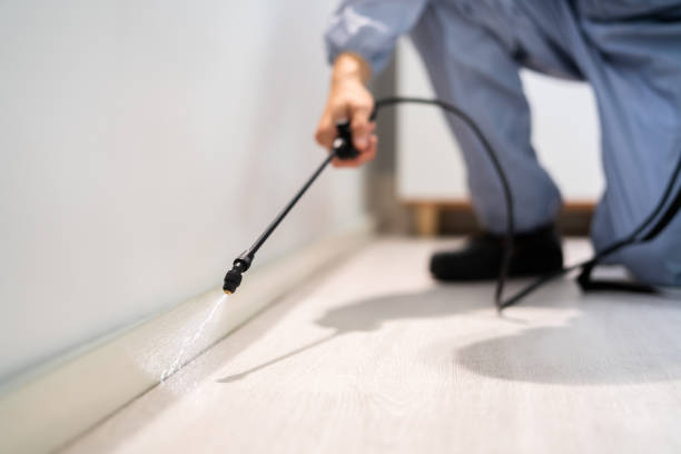 Licensed Pest Control service in Barre, VT - Show Me Pest Control